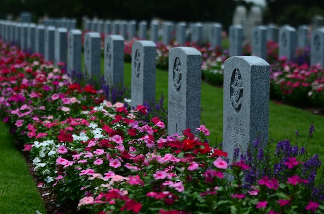 Kodėl apsimoka rinktis kremavimo paslaugas?